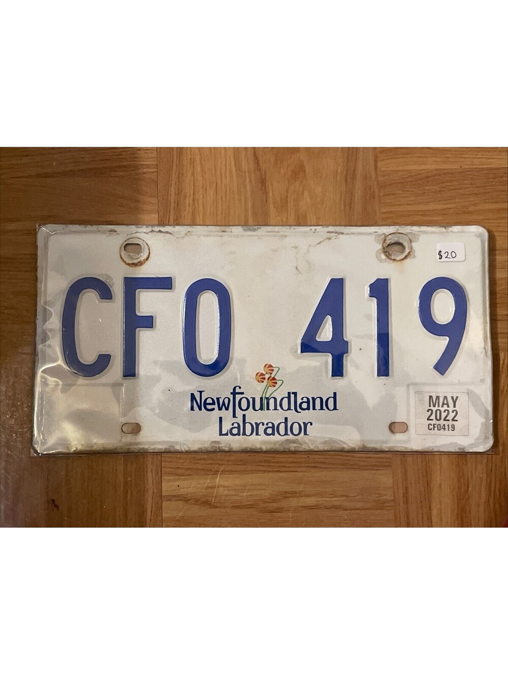 Newfoundland License Plate (Expired) Labrador Canada Picture Plant 2022 CFO 419